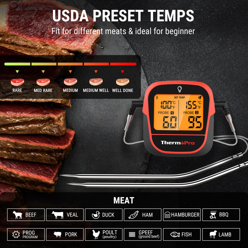 ThermoPro