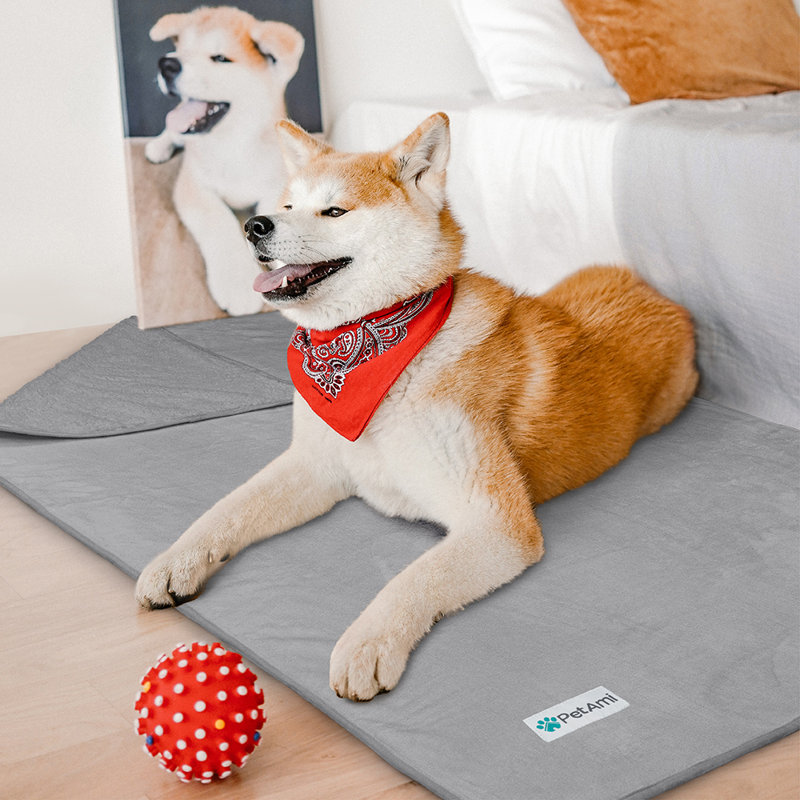Small Light Gray Waterproof Sherpa Fleece Pet Blanket