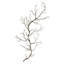 Twig Photographic Print-88478760