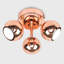 Alishba Spotlight-36154485-36154486