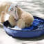 Tapis pour renifler Pet