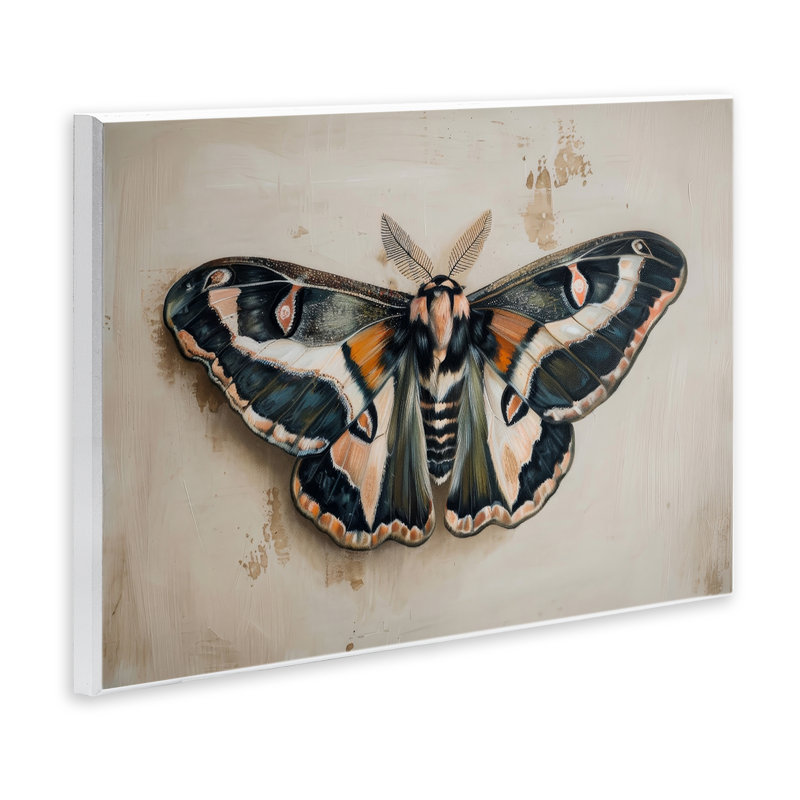 Dark Winged Moth Wall Plaque Art by Petal Prints Design, 13" H x 19" W
