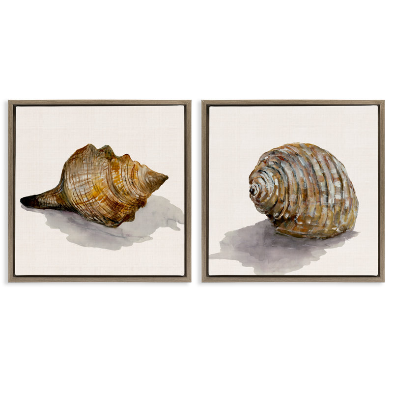  Neutral Beach Shells 2 PC Framed Floater Canvas Set by Jacob Q, 25" H x 25" W, Montalcino Elm Floater Frame