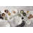 Entertain 365 24 Seven White Mugs