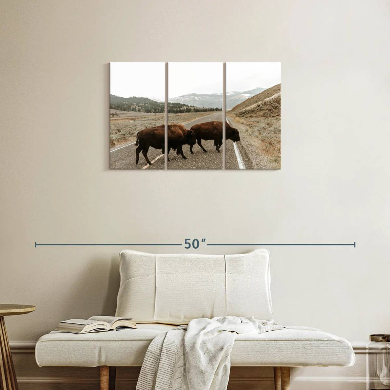 Brampt Bison In Lamar Valley, 20" H x 33" W
