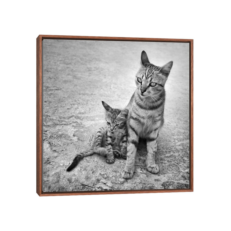 Never Leave Me Alone by Ben Heine - Print on Canvas, Classic Brown Wood Framed, 45.72 cm H x 45.72 cm W