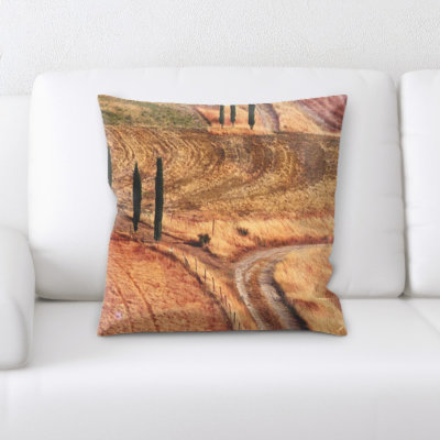 Portrait Style Photography Throw Pillow