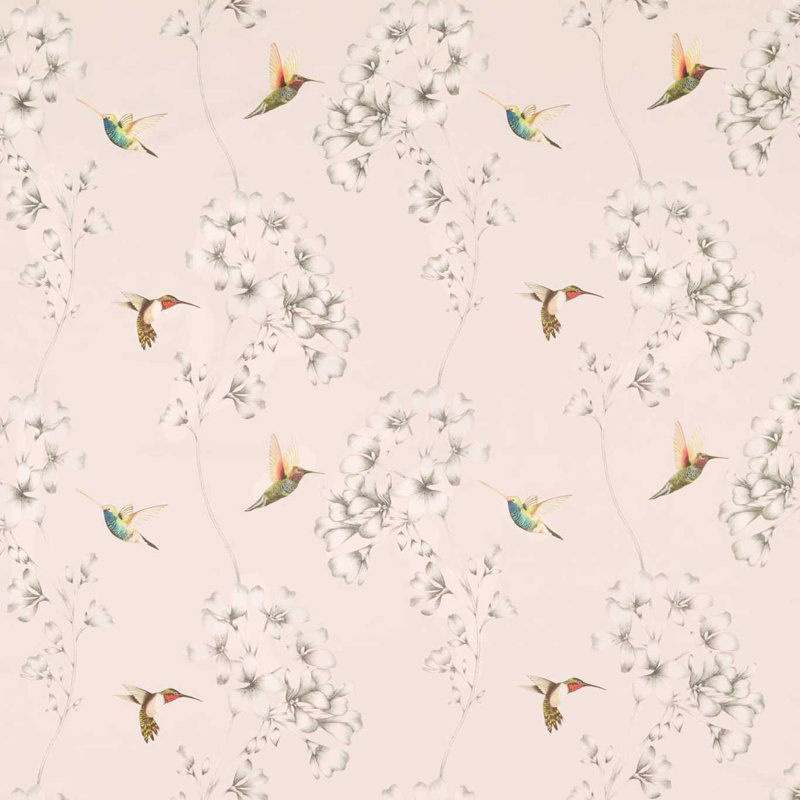 Amazilia Fabric, Powder