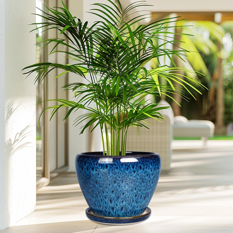 Ceramic Modern Glaze Succulent Planter Pot, 7" H x 10" W x 10" D