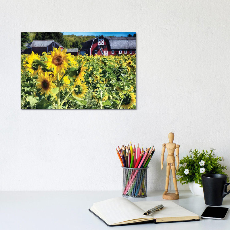 Sunflowers Field with a Barn, New Jersey 1 Piece Wrapped Canvas Wall Art, 20.32 cm H x 30.48 cm W