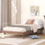 Base de lit plateforme flottante de conception moderne de couleur noyer-326107859-326107858