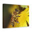 No Frame Print on Canvas-1957141311
