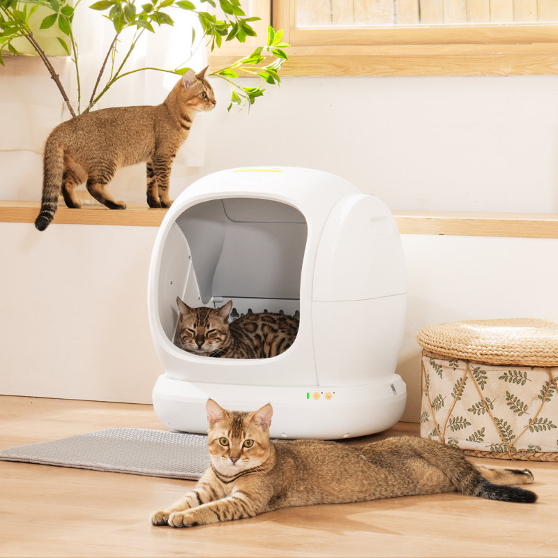 75L Extra Large Open Self-cleaning Smart Automatic Cat Litter Box With Mat & Liner for Multi Cats, App Control/Odor Removal/Safety Protection
