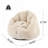 Accent Bean Bag Chair