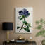 AntiqueFloralFolioIV - galerie Cavas sur mesure-1235331503
