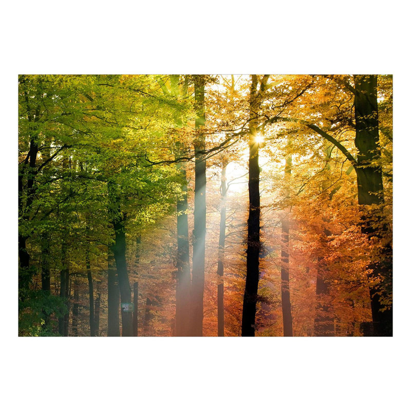 Murale couleurs forêt Evetts, L 55 po x l 77 po