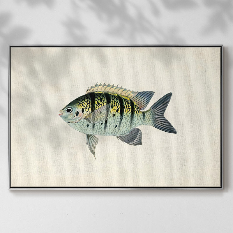 «Tropical Fish Collection VI», reproduction sur toile à cadre flottant, H 27 po x l 41 po x P 2 po, Argent