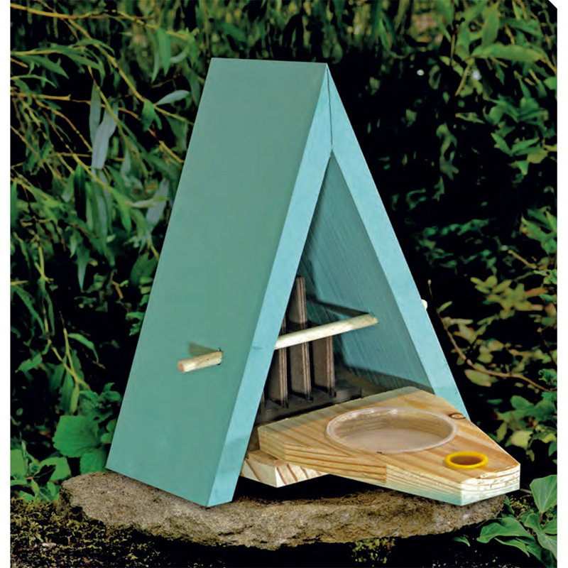Neyla Mounted Butterfly House