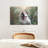 Brampt Nature Dog-107856561