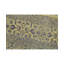 Brookhaven Oriental Area Rug