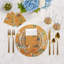 Exotix Pebble 4 Piece Vinyl Placemat Set-50817708