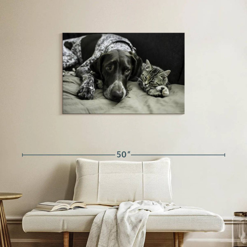 Amis chiens et chats, H 24 po x l 36 po
