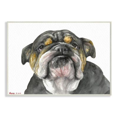 Charme de vieux chien Chubby Bulldog noir et brun