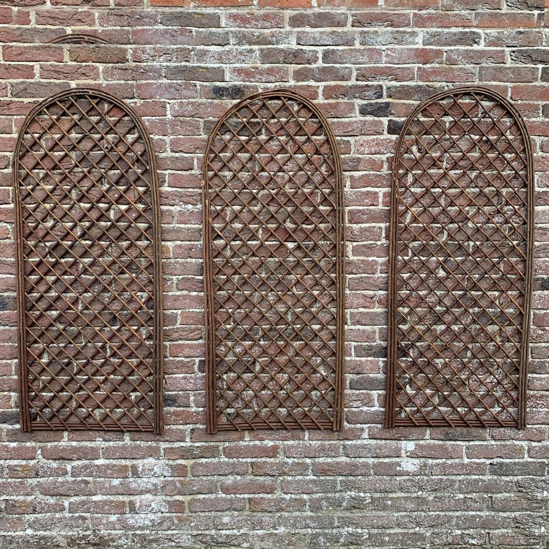 Anaysa 120Cm H x 45Cm W Wood Arched Trellis