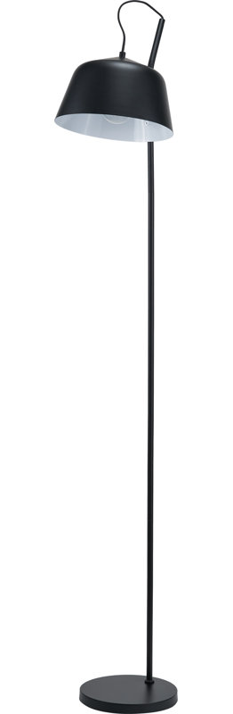 Taleya 170cm Matte Task Floor Lamp, Black