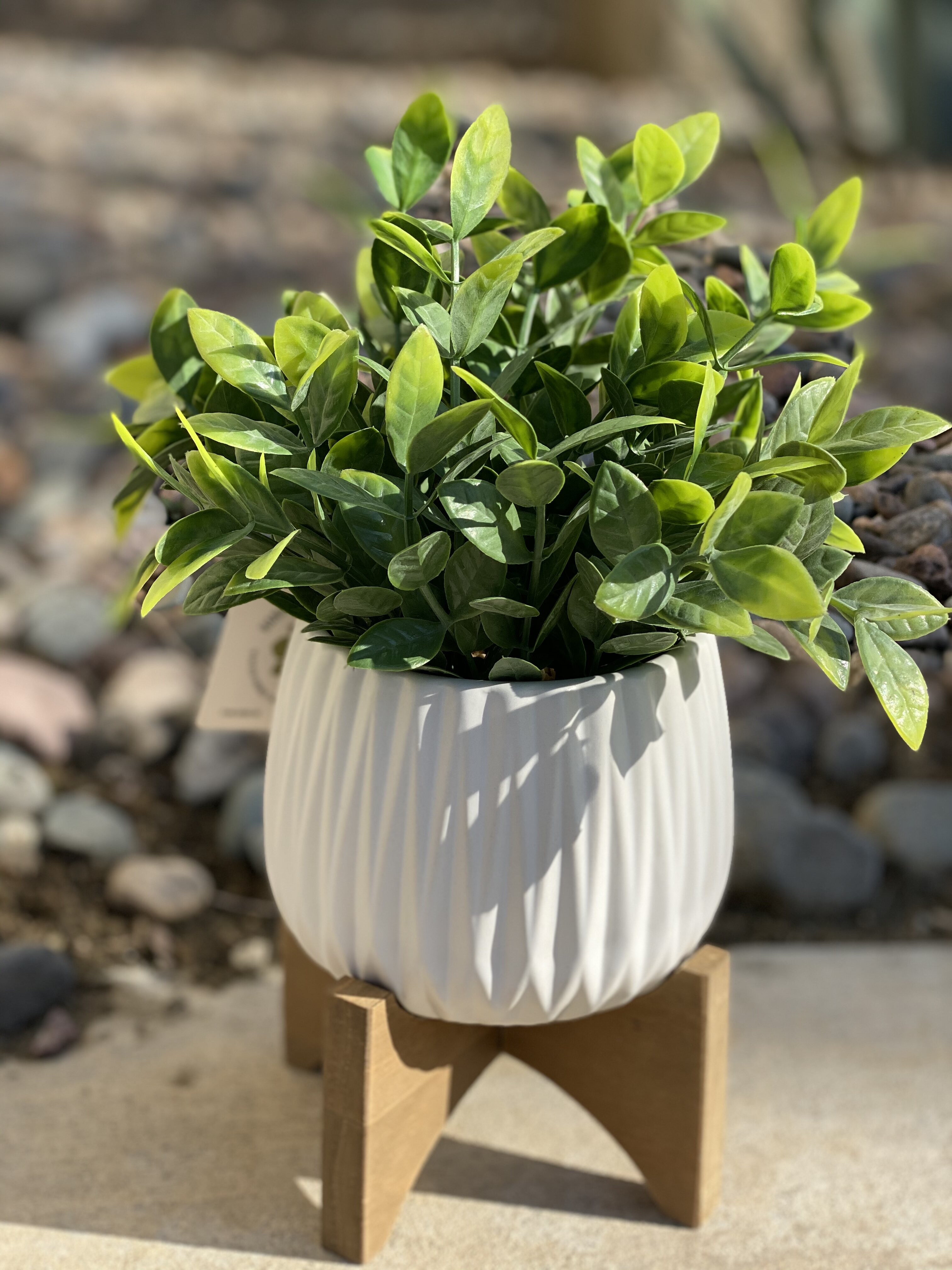 Hashtag Home 10.75'' Faux Eucalyptus Plant in Planter & Reviews | Wayfair