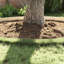 Lawn Edging 10 Pcs Grey Steel-923455813