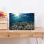 Sunlit Underwater Coral Reef Colorful Serene Vibrant Fish Nature Ocean Wall Art Print 1 Piece Wrapped Canvas Wall Art-1836130369
