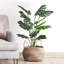 Faux Monstera Plant in Pot-1840779959-1840779956