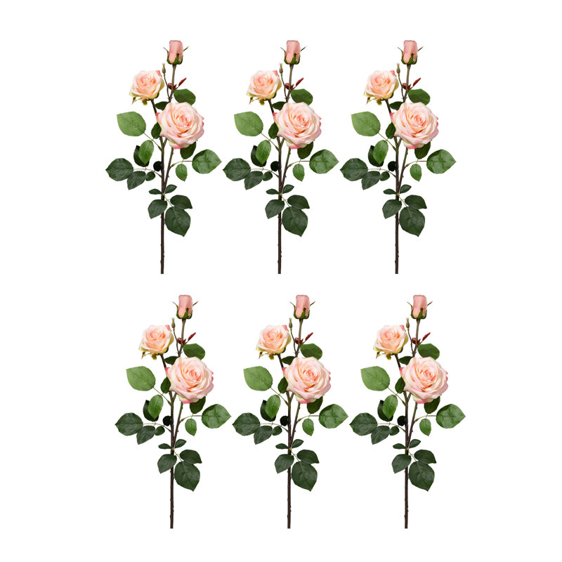Rose Arrangement