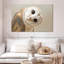Hibou Brampt-107679671