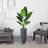 Traveler's Palm Artificial Tree in Gray Planter