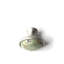 Rainforest Mushroom Knob-18919314