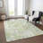 Machine Washable Indoor/Outdoor Claudian ACN1506 Aloe Rug-109534696