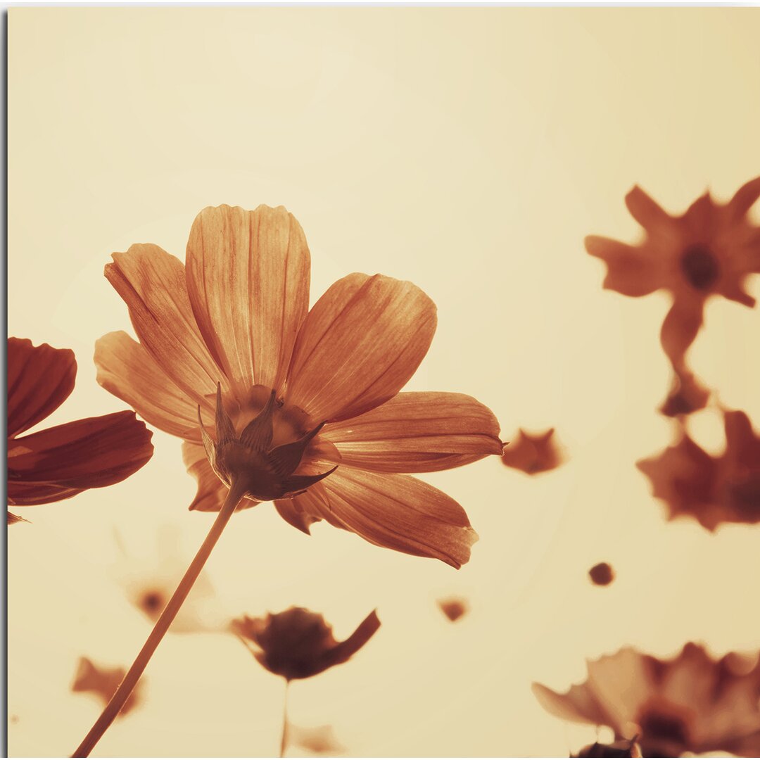 Gerahmtes Leinwandbild Retro Blumen mit Sepia Himmel