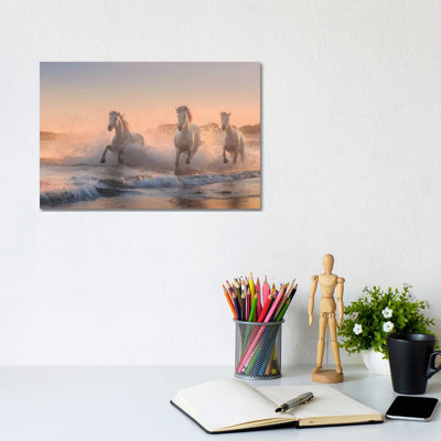White Angels of Camargue VI 1 Piece Wall Art on Canvas