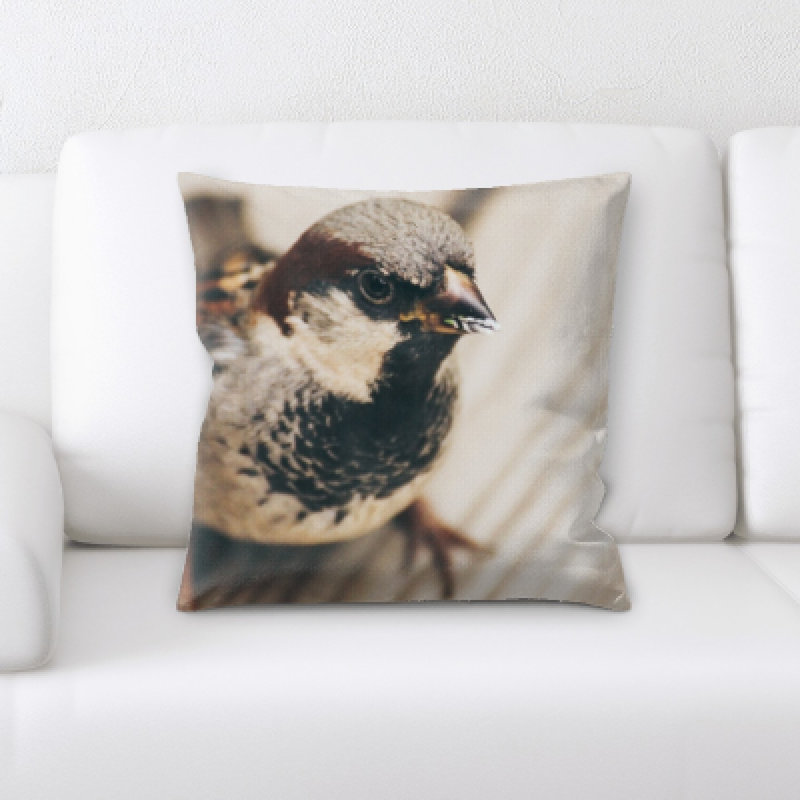 Coussin oiseau
