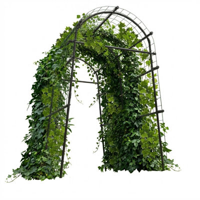 228.6 cm H x 114.3 cm W Iron Arched