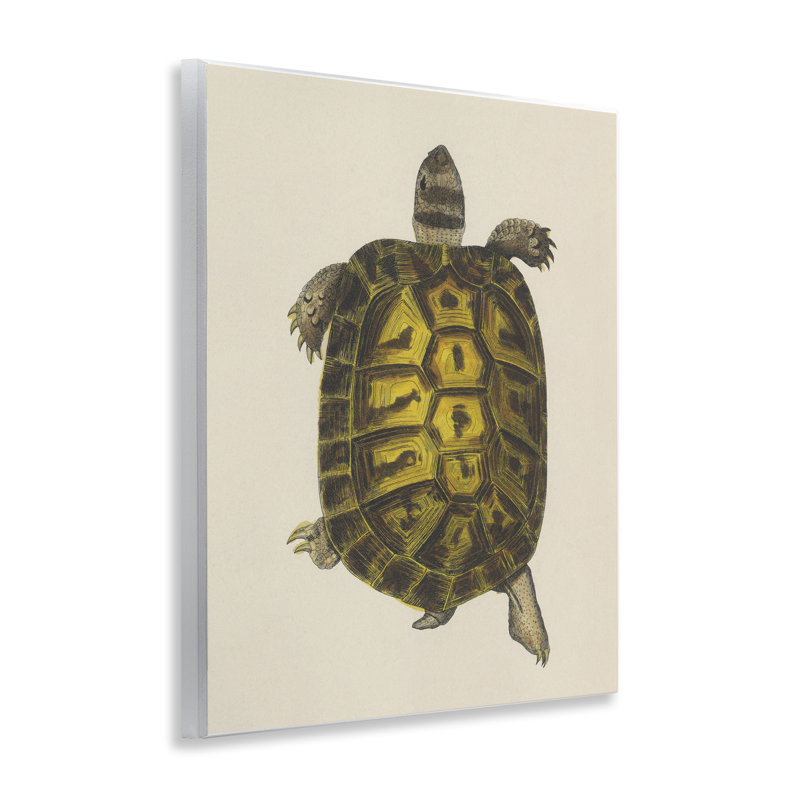 Plaque murale rétro Tortue maritime, design par Phillipa Katz