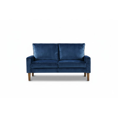 Modern Minimalist Velvet Upholstered Loveseat Sofa, Solid Wood Frame Coil Spring Cushioned Compact 2-Seater Couch for Living Room Apartment
