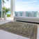 Machine Washable Indoor/Outdoor Claudian ACN1646 Brown Rug