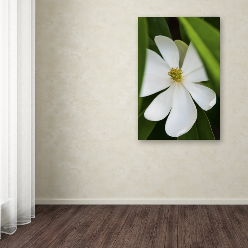 «White Magnolia Flower» par Kurt Shaffer, reproduction de photo sur toile, H 32 po x l 22 po x P 2 po