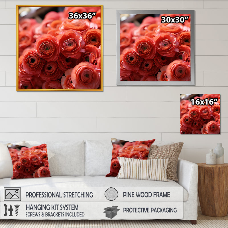 Ranunculus rose, couches de beauté - Renoncule, art mural, Cadre flottant doré, H 36 po x l 36 po x P 1,5 po