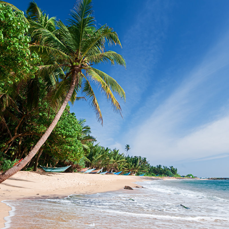 Tropical Beach by Hadynyah - Wrapped Canvas Print, 30cm H x 30cm W