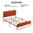 Nelsie Upholstered Platform Bed with Velvet Tufted Headboard-943182622-996180399