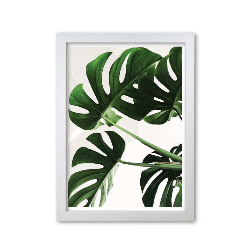 Monstera Leaf - Print, White Grain Frame, 60 cm H x 42 cm W x 5 cm D